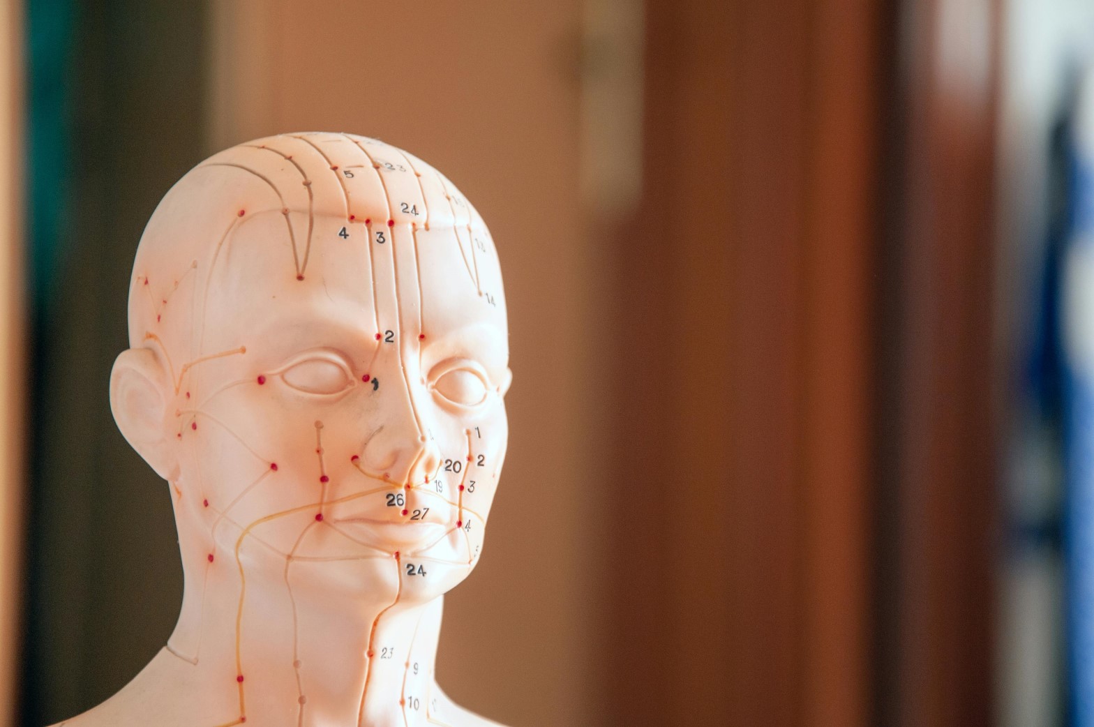 Kinesiology and Physical Performance